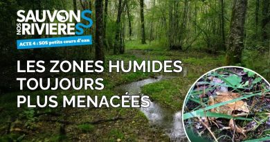 Zones humides en danger : Agissons pour nos rivières !