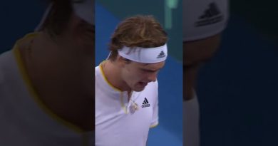 Zverev confirmé pour représenter l'Allemagne au Davis Cup