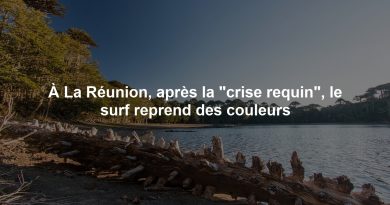 À La Réunion, après la "crise requin", le surf reprend des couleurs