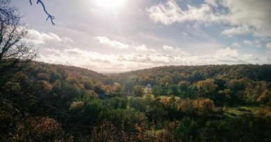 Météo en Belgique : conditions calmes et douces pour la saison actuelle - RTBF Actus