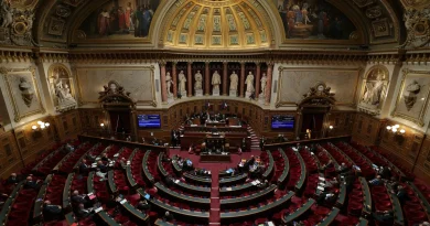 Budget 2026 : le Sénat vote une baisse des tarifs d’électricité, compensée par la hausse du gaz