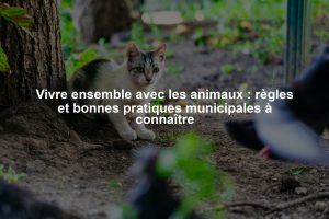 Vivre ensemble avec les animaux : règles et bonnes pratiques municipales à connaître