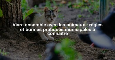 Vivre ensemble avec les animaux : règles et bonnes pratiques municipales à connaître