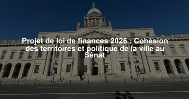 Projet de loi de finances 2026 : Cohésion des territoires et politique de la ville au Sénat