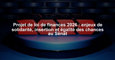 Projet de loi de finances 2026 : enjeux de solidarité, insertion et égalité des chances au Sénat