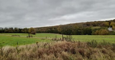 Octobre 2025 : une absence de soleil surprend les météorologues - RTBF Actus