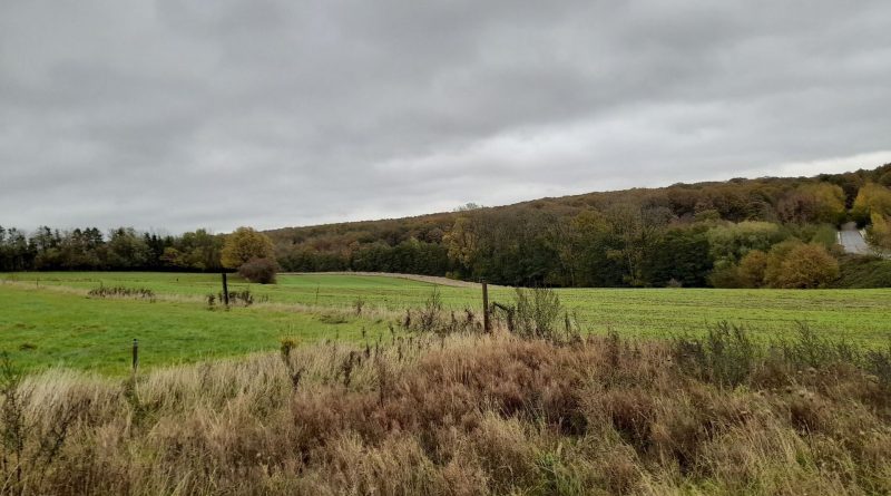 Octobre 2025 : une absence de soleil surprend les météorologues - RTBF Actus