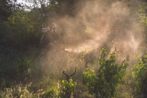 3 000 litres de pesticides saisis chez des particuliers malgré l'interdiction de 2019