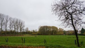 Météo en Belgique : un retour à des températures plus fraîches annoncé