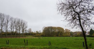 Météo en Belgique : un retour à des températures plus fraîches annoncé
