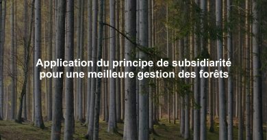 Application du principe de subsidiarité pour une meilleure gestion des forêts