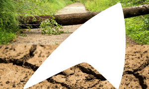 Tempête Benjamin et sécheresse dans le Sud : évaluation des pertes subies