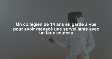 Un collégien de 14 ans en garde à vue pour avoir menacé une surveillante avec un faux couteau