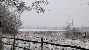Premières chutes de neige : une partie de la Belgique recouverte de blanc