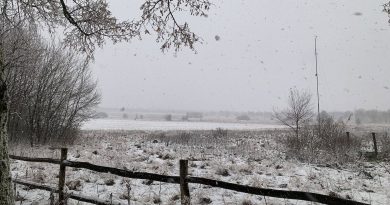 Premières chutes de neige : une partie de la Belgique recouverte de blanc