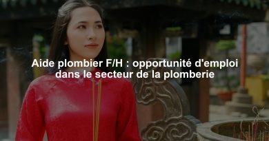 Aide plombier F/H : opportunité d'emploi dans le secteur de la plomberie