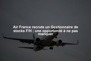 Air France recrute un Gestionnaire de stocks F/H : une opportunité à ne pas manquer