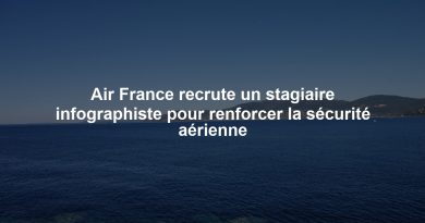 Air France recrute un stagiaire infographiste pour renforcer la sécurité aérienne
