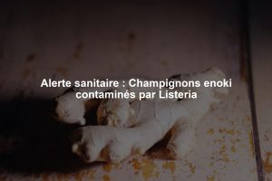 Alerte sanitaire : Champignons enoki contaminés par Listeria
