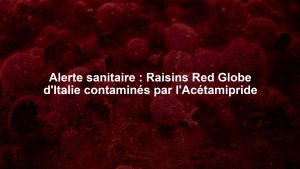 Alerte sanitaire : Raisins Red Globe d'Italie contaminés par l'Acétamipride