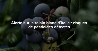 Alerte sur le raisin blanc d'Italie : risques de pesticides détectés