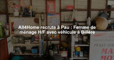 All4Home recrute à Pau : Femme de ménage H/F avec véhicule à Billère
