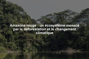 Amazone rouge : un écosystème menacé par la déforestation et le changement climatique