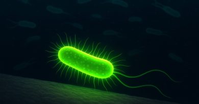 Des bactéries 'perçoivent' les surfaces : une sonde fluorescente visualise la tension membranaire.