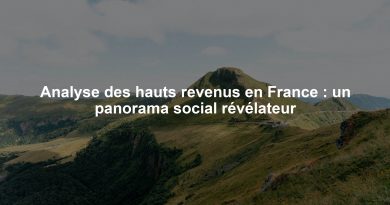 Analyse des hauts revenus en France : un panorama social révélateur