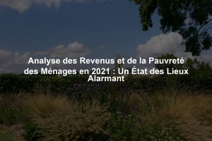 Analyse des Revenus et de la Pauvreté des Ménages en 2021 : Un État des Lieux Alarmant