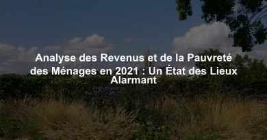 Analyse des Revenus et de la Pauvreté des Ménages en 2021 : Un État des Lieux Alarmant