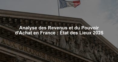 Analyse des Revenus et du Pouvoir d'Achat en France : État des Lieux 2025