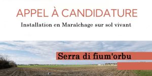 Appel à candidatures pour une installation en maraîchage sur sol vivant