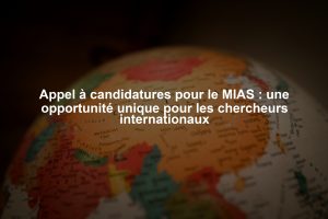 Appel à candidatures pour le MIAS : une opportunité unique pour les chercheurs internationaux