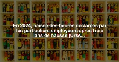 En 2024, baisse des heures déclarées par les particuliers employeurs après trois ans de hausse (Urssaf)