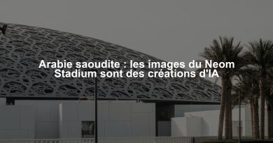 Arabie saoudite : les images du Neom Stadium sont des créations d'IA