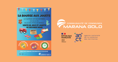 Bourse aux Jouets : Événement de la Communauté de communes Marana Golo