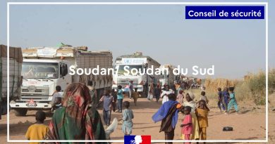 La France demande le retrait immédiat des Forces de soutien rapide d'Abiyé
