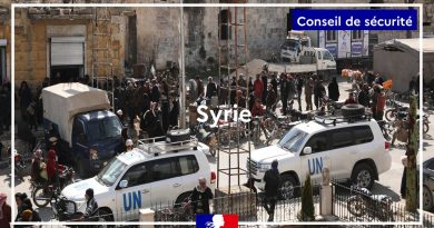 La France applaudit l'adoption de la résolution levant les sanctions contre le président syrien.