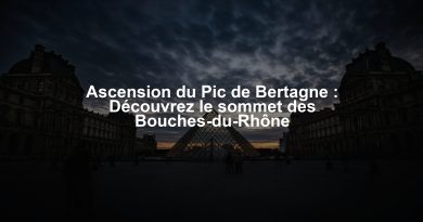 Ascension du Pic de Bertagne : Découvrez le sommet des Bouches-du-Rhône