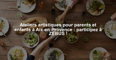 Ateliers artistiques pour parents et enfants à Aix-en-Provence : participez à ZEBUS !