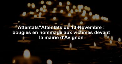 Attentats"Attentats du 13-Novembre : bougies en hommage aux victimes devant la mairie d'Avignon