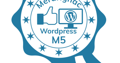 Optimiser une Landing Page avec WordPress : Tuto vidéo étape par étape