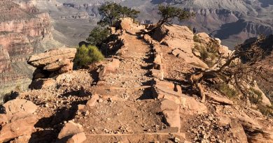 Parcs nationaux américains : augmentation des tarifs pour les touristes étrangers