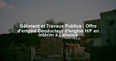 Bâtiment et Travaux Publics : Offre d'emploi Conducteur d'engins H/F en intérim à Lahonce