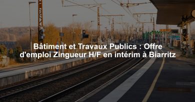 Bâtiment et Travaux Publics : Offre d'emploi Zingueur H/F en intérim à Biarritz
