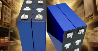 Photo de Miotisoa RANDRIANARISOA