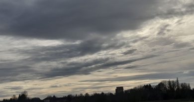 Météo du 11 novembre : grisaille matinale sur l'ensemble du pays - RTBF Actus