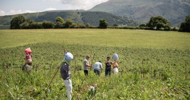 Marienia : appel rejeté pour le recours contre le permis de construire