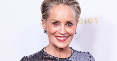 Sharon Stone évoque le statut de « femme fatale » : « Il est difficile d'être sexy »
